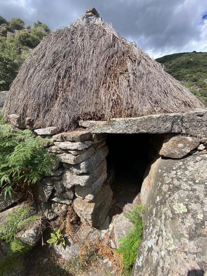 El Jazmin De La Fuente Casa Rural Guijo de Santa Bárbara Zewnętrze zdjęcie